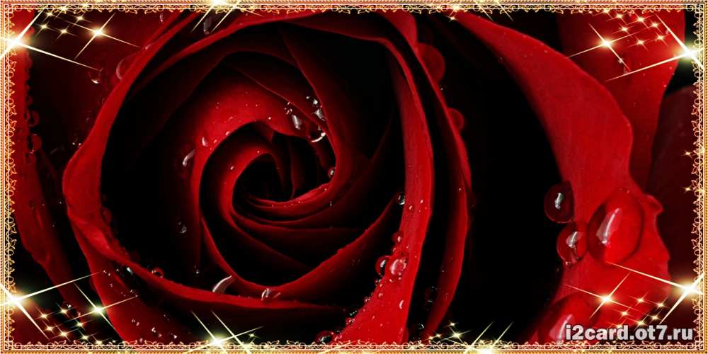 Открытка на каждый день с именем, Леонард C юбилеем цветок в росе на день рождения Прикольная открытка с пожеланием онлайн скачать бесплатно 