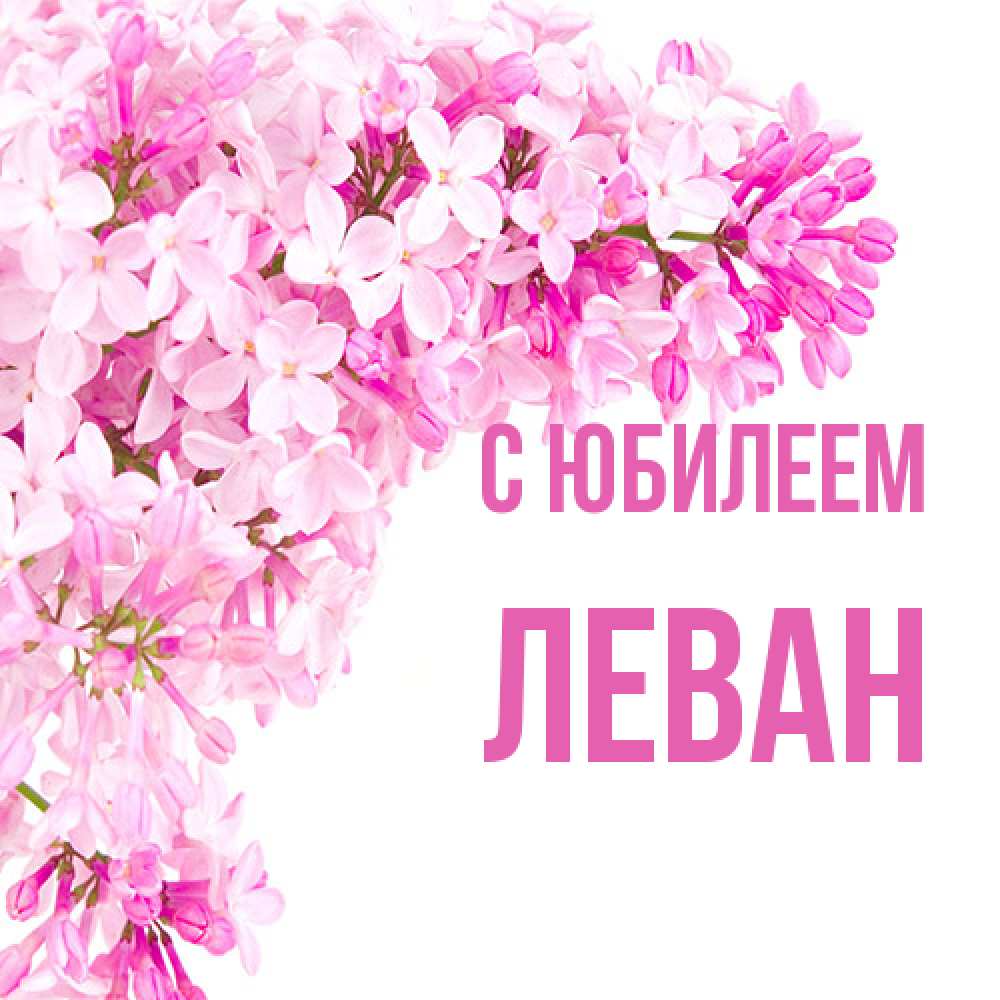 Открытка на каждый день с именем, Леван C юбилеем Сирень на белом фоне Прикольная открытка с пожеланием онлайн скачать бесплатно 