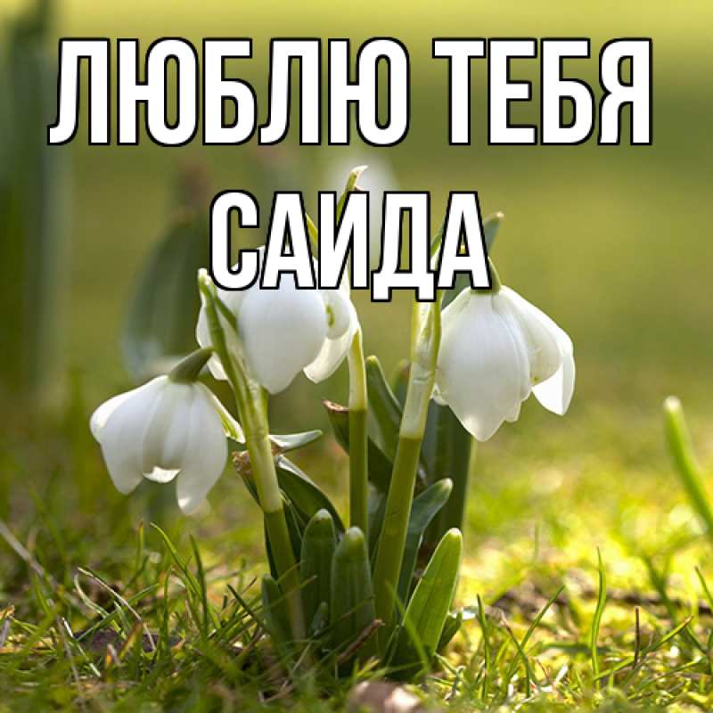 Картинка Люблю тебя, Саида