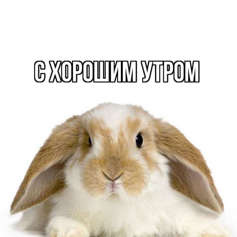 Картинка С хорошим утром, 