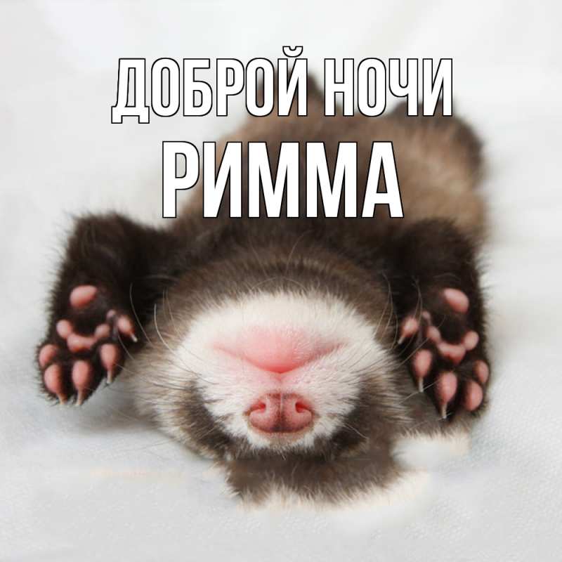 Открытка с именем, Римма, Доброй ночи