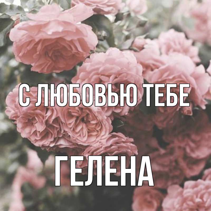 Картинка С любовью тебе, Гелена