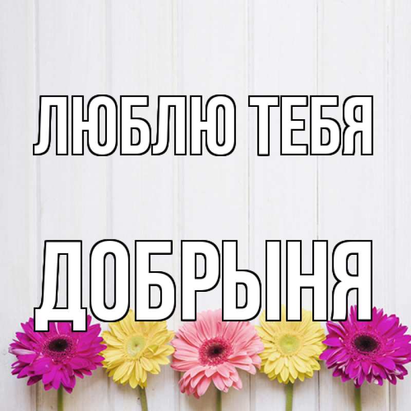 Картинка Люблю тебя, Добрыня