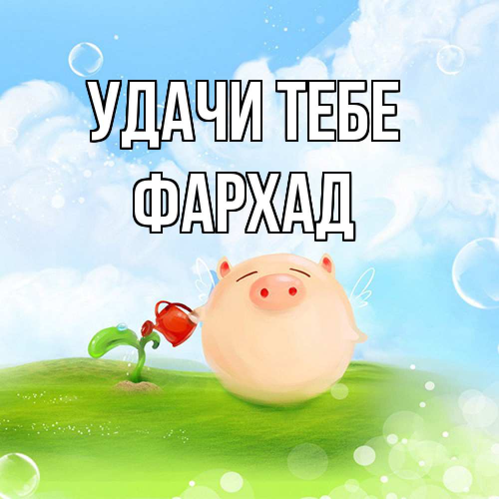 Открытка на каждый день с именем, Фархад Удачи тебе поросенок поливает цветок. летнее настроение Прикольная открытка с пожеланием онлайн скачать бесплатно 