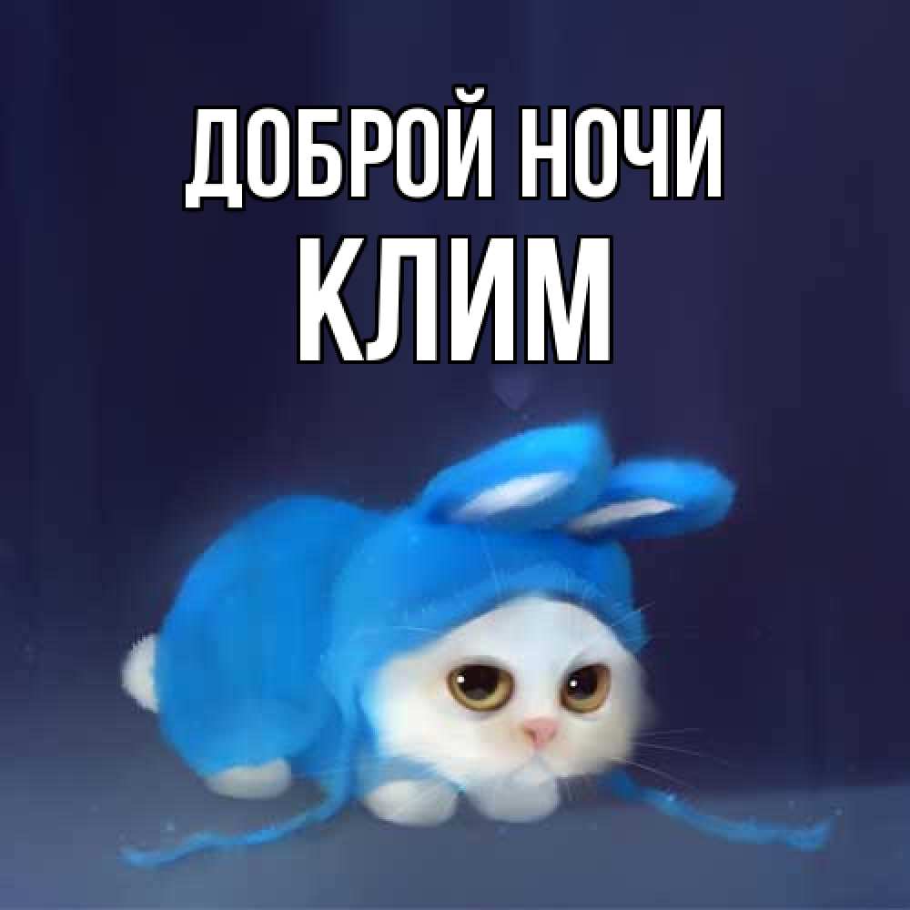 Открытка на каждый день с именем, Клим Доброй ночи кот в голубом костюме кролика с ушками Прикольная открытка с пожеланием онлайн скачать бесплатно 
