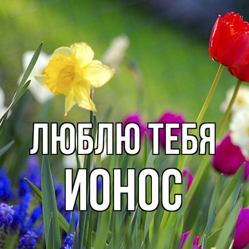 Картинка Люблю тебя, Ионос