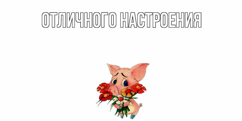 Открытка на каждый день с именем, Ангелина Не обижайся открытка с поросей которая просит прощения Прикольная открытка с пожеланием онлайн скачать бесплатно 