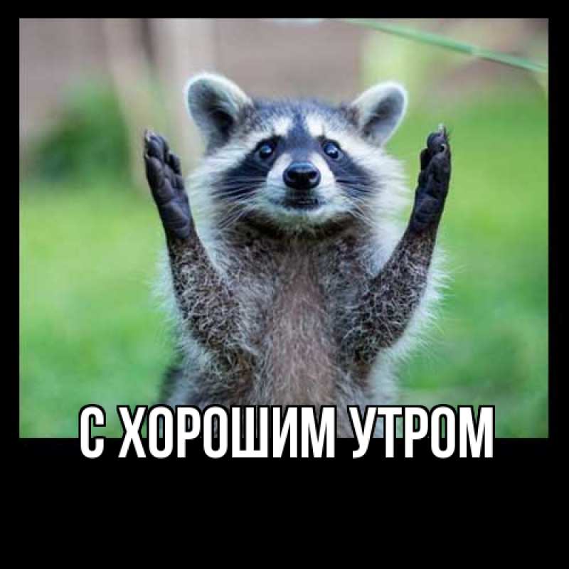 Картинка С хорошим утром, 