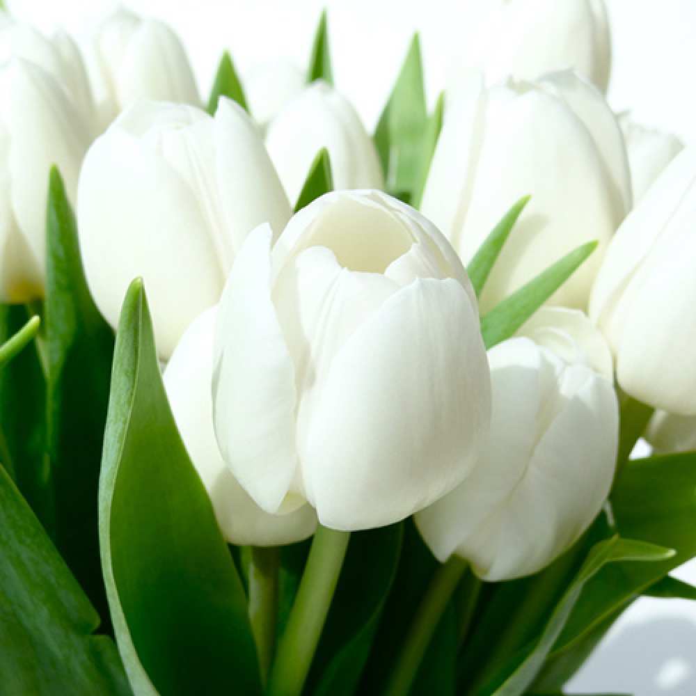 Открытка на каждый день с именем, Мичлов Люблю тебя цветы Прикольная открытка с пожеланием онлайн скачать бесплатно 