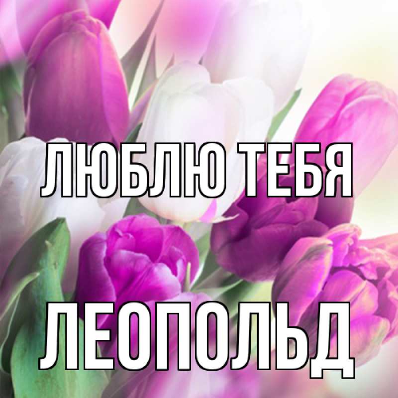 Картинка Люблю тебя, Леопольд