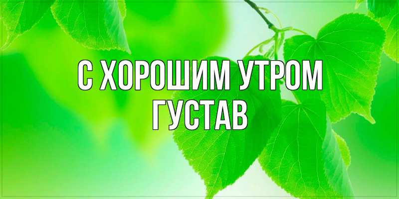 Картинка С хорошим утром, Густав