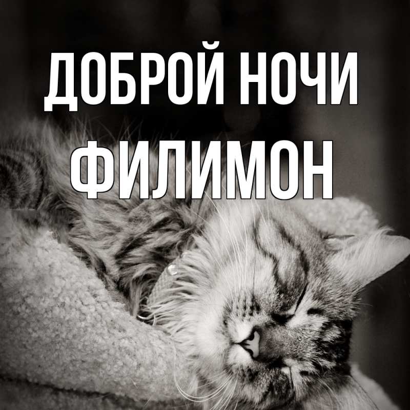 Картинка Доброй ночи, Филимон