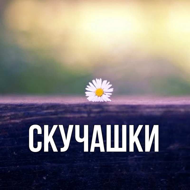 Картинка Скучашки, 