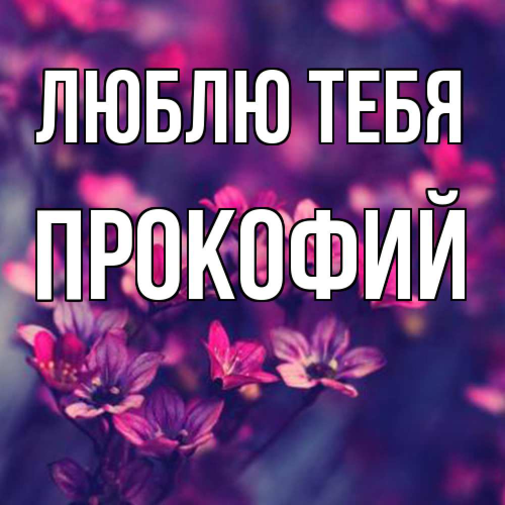 Открытка на каждый день с именем, Прокофий Люблю тебя небольшие цветы 1 Прикольная открытка с пожеланием онлайн скачать бесплатно 