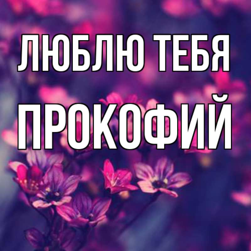 Картинка Люблю тебя, Прокофий