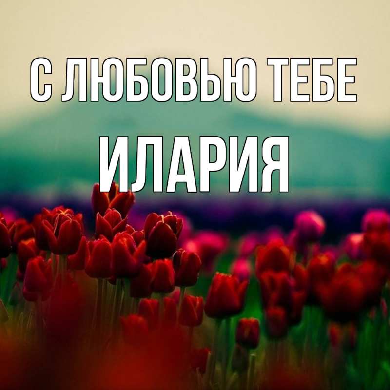 Картинка С любовью тебе, Илария