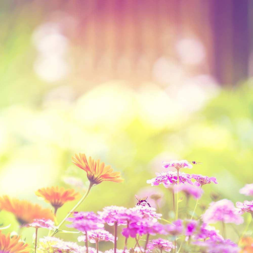 Открытка на каждый день с именем, Серёжа Люблю тебя цветы весна Прикольная открытка с пожеланием онлайн скачать бесплатно 