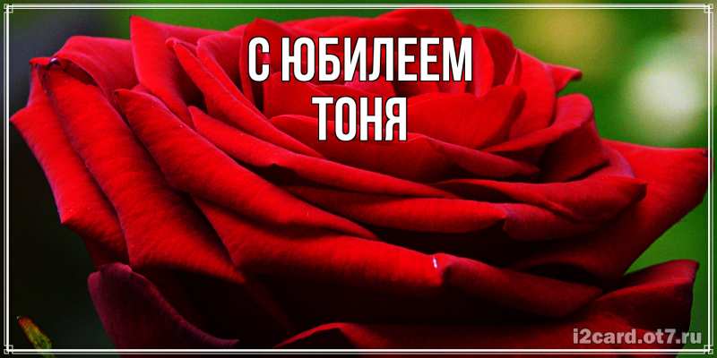 Картинка C юбилеем, Тоня