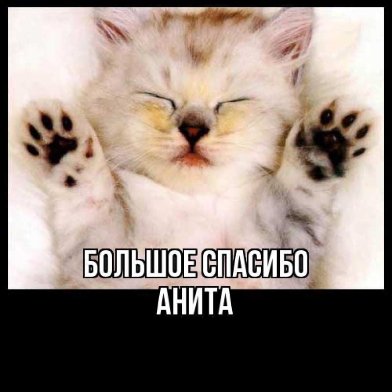 Картинка Большое спасибо, Анита