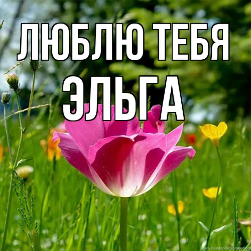 Картинка Люблю тебя, Эльга