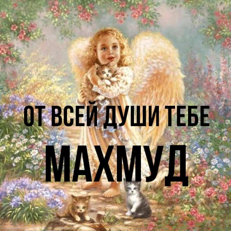 Картинка От всей души тебе, Махмуд