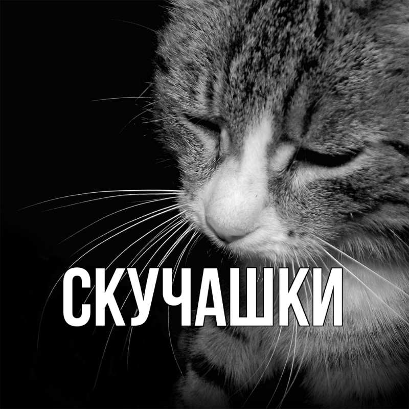 Картинка Скучашки, 