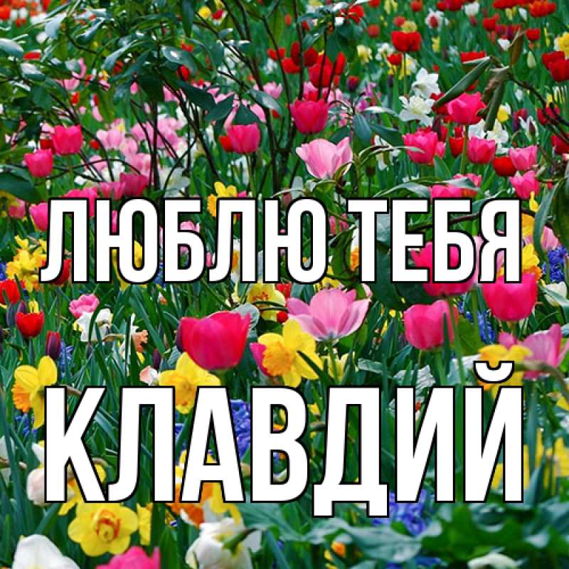 Картинка Люблю тебя, Клавдий