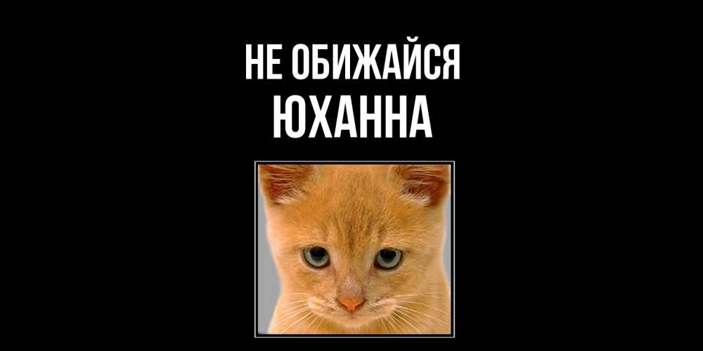 Открытка на каждый день с именем, Юханна Не обижайся рыжий грустный кот просит прощения Прикольная открытка с пожеланием онлайн скачать бесплатно 