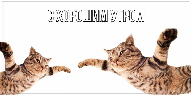 Картинка Как дела, Карима