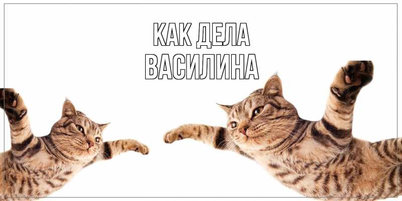 Открытка с именем, Василина, Как дела