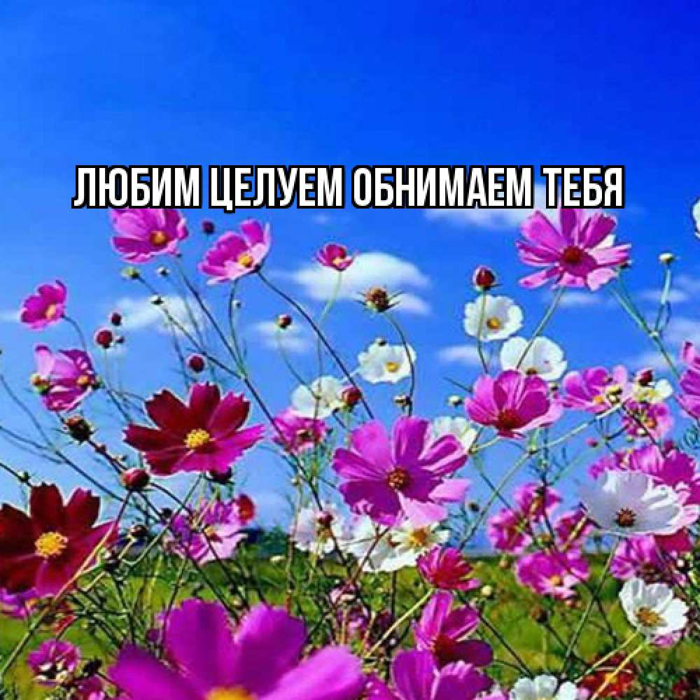 Открытка на каждый день с именем, Ненаглядный-мой Люблю тебя цветы Прикольная открытка с пожеланием онлайн скачать бесплатно 