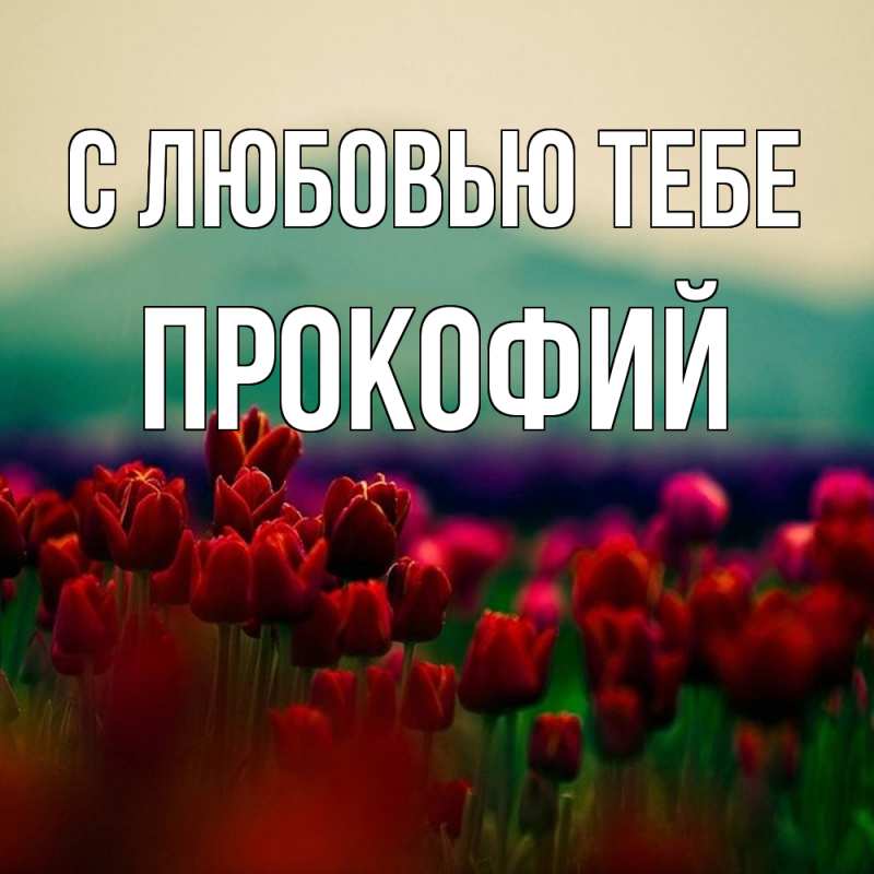Картинка С любовью тебе, Прокофий