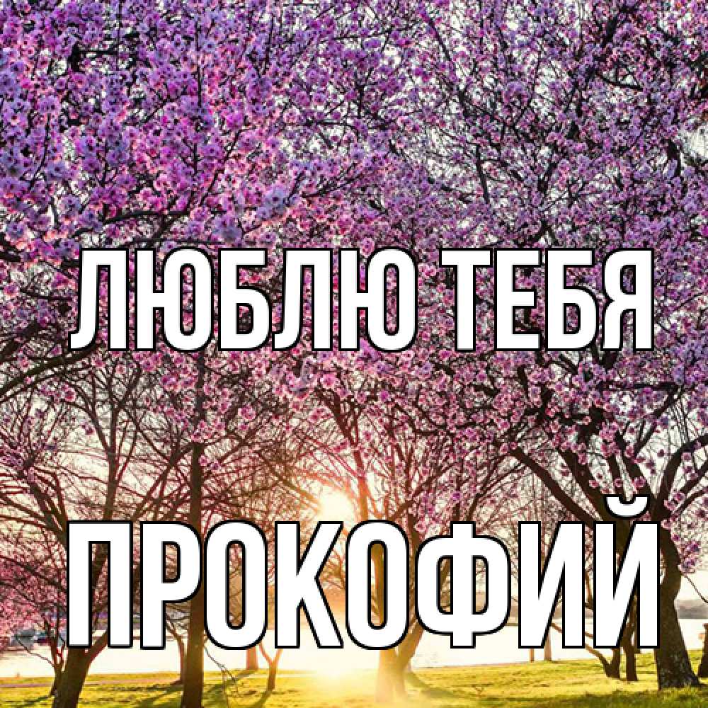 Открытка на каждый день с именем, Прокофий Люблю тебя международный женский день Прикольная открытка с пожеланием онлайн скачать бесплатно 