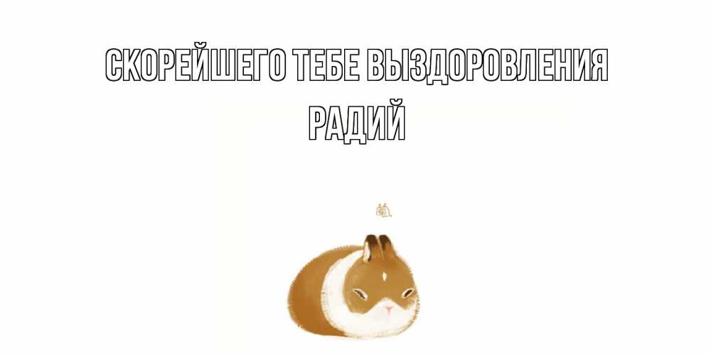 Открытка на каждый день с именем, Радий Скорейшего тебе выздоровления морская свинка на открытке с пожеланиями не болеть Прикольная открытка с пожеланием онлайн скачать бесплатно 