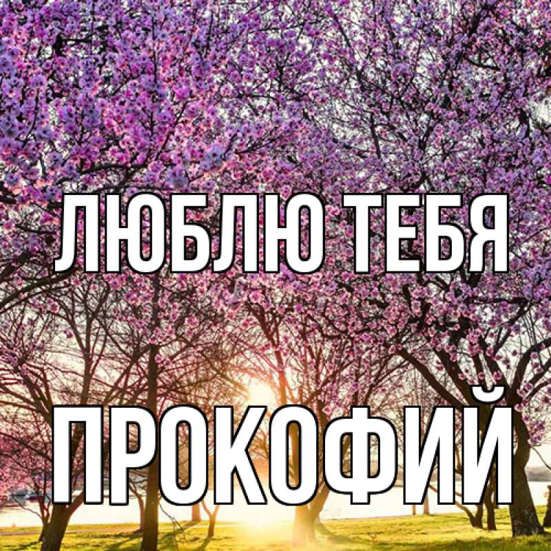 Картинка Люблю тебя, Прокофий