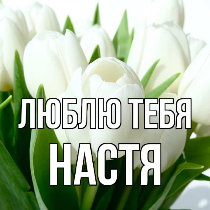 Картинка Люблю тебя, Настя