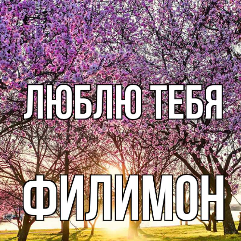 Картинка Люблю тебя, Филимон
