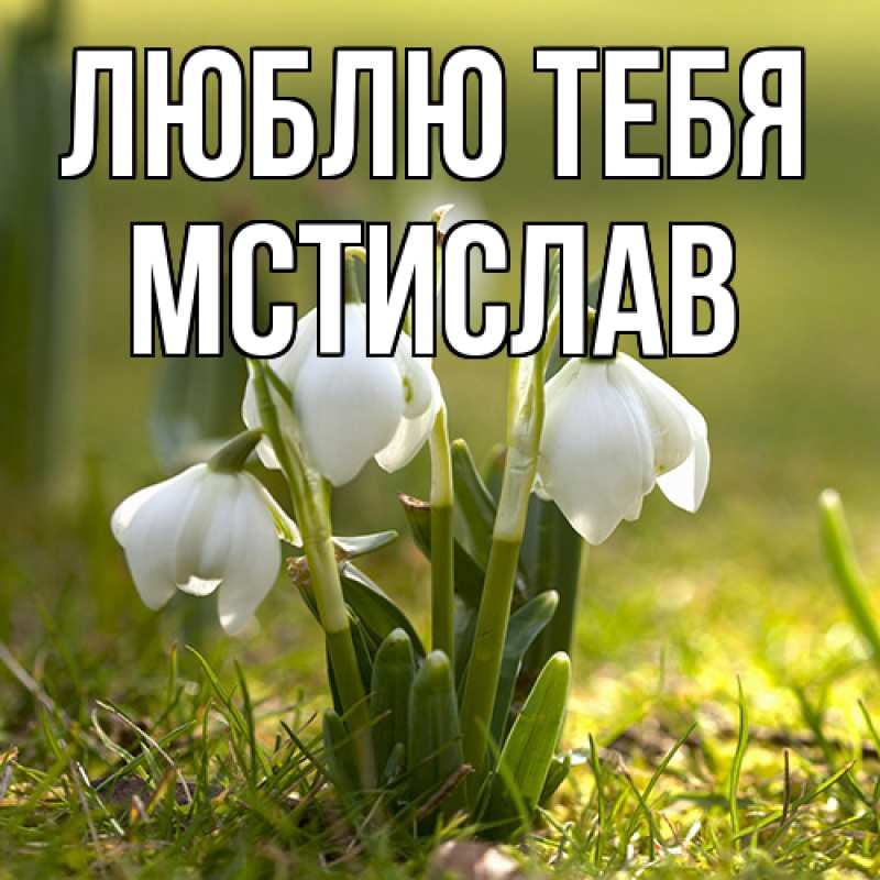 Картинка Люблю тебя, Мстислав