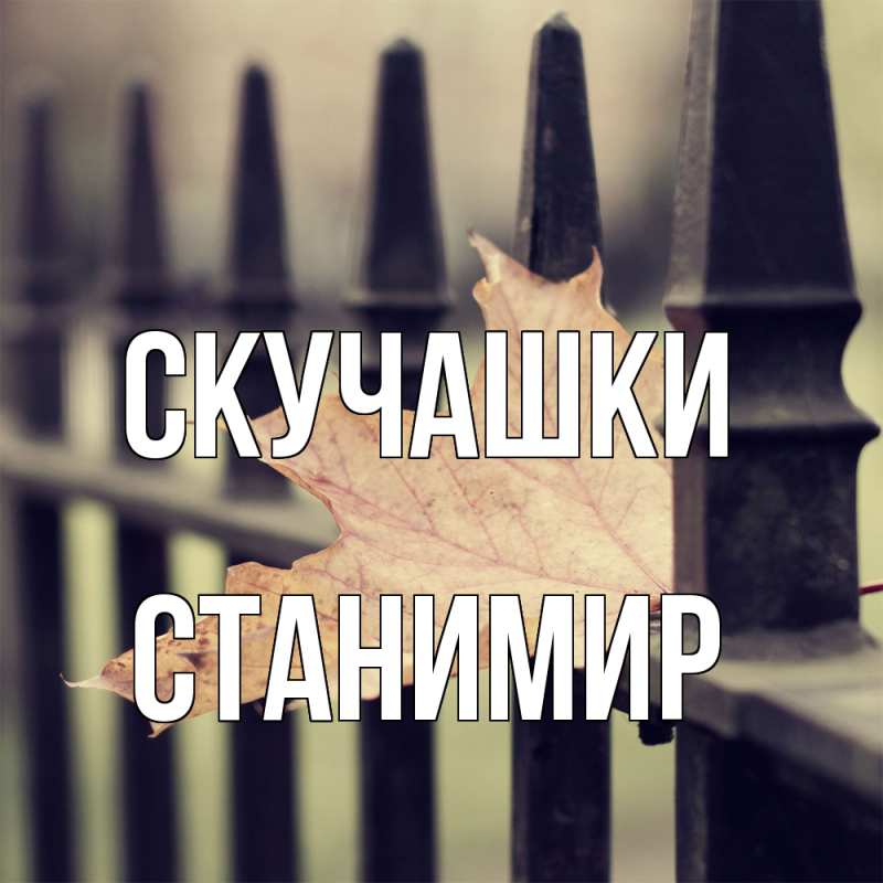 Картинка Скучашки, Станимир