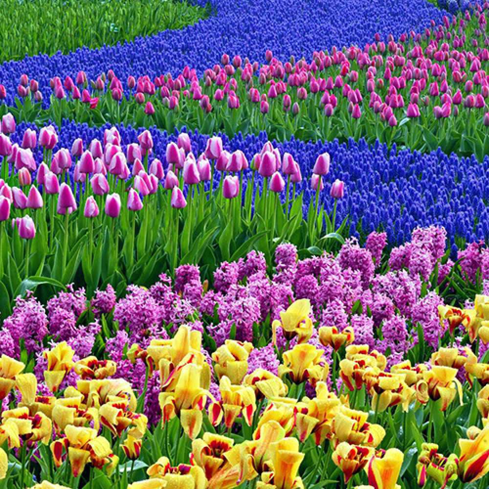 Открытка на каждый день с именем, Витольд Люблю тебя цветы Прикольная открытка с пожеланием онлайн скачать бесплатно 