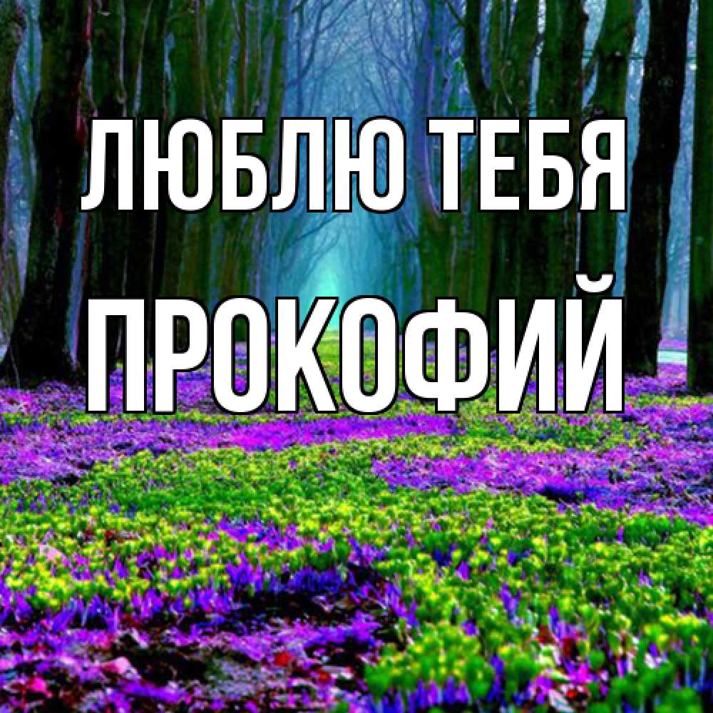 Открытка на каждый день с именем, Прокофий Люблю тебя фиолетовые цветы в лесу 1 Прикольная открытка с пожеланием онлайн скачать бесплатно 