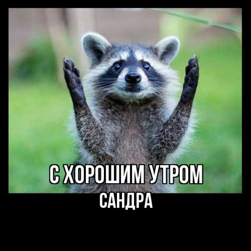 Картинка С хорошим утром, Сандра