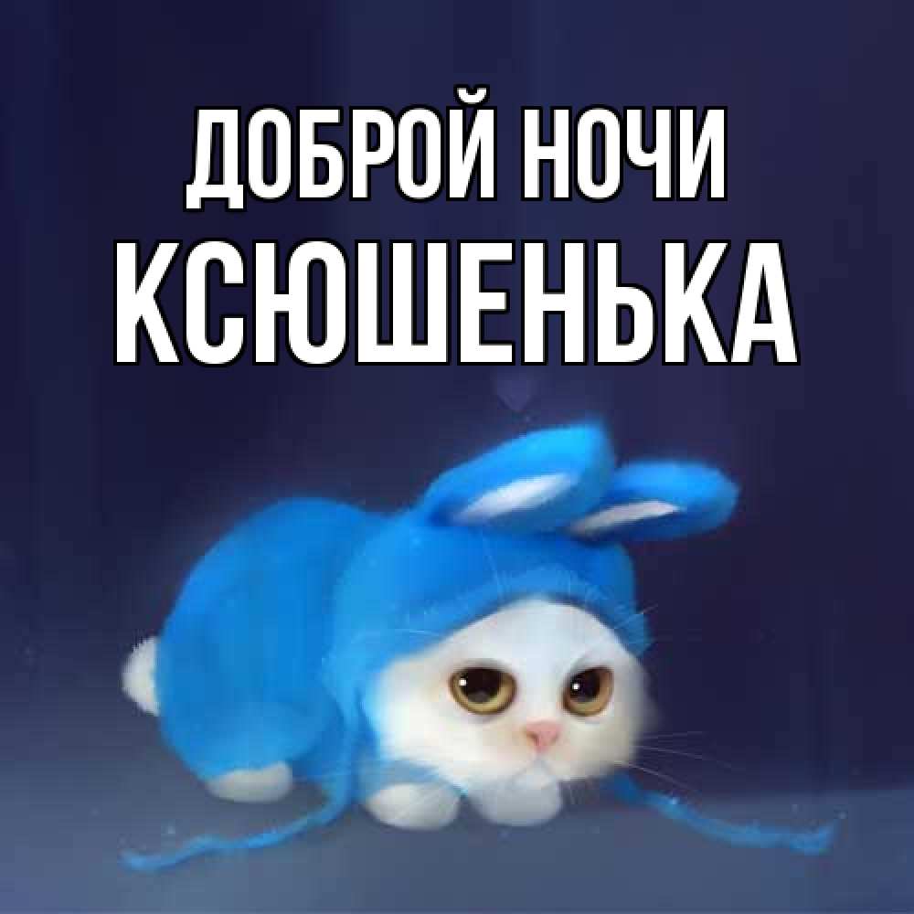 Открытка на каждый день с именем, Ксюшенька Доброй ночи кот в голубом костюме кролика с ушками Прикольная открытка с пожеланием онлайн скачать бесплатно 