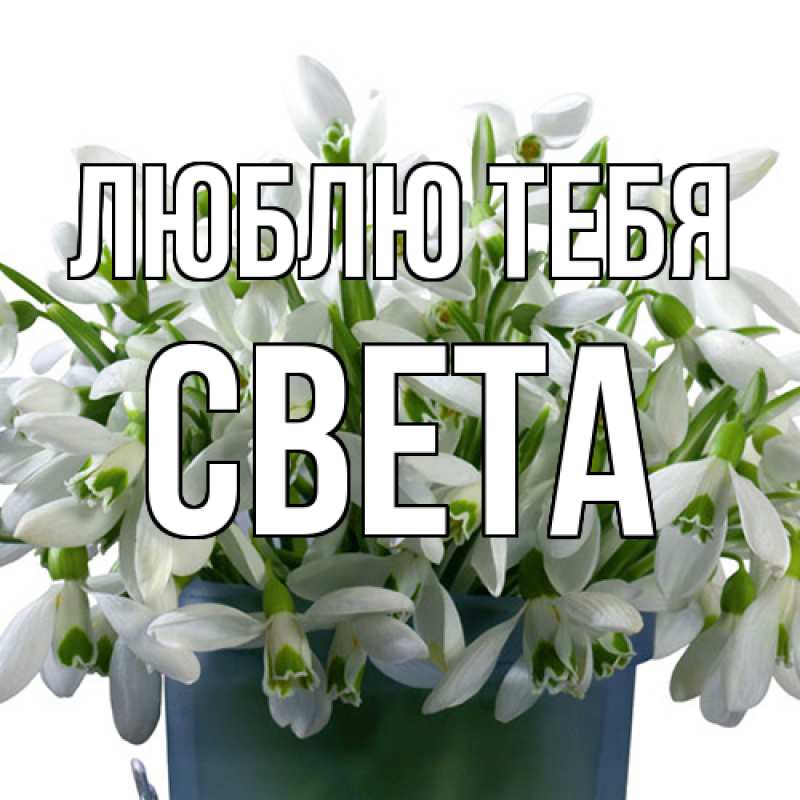 Открытка с именем, Света, Люблю тебя