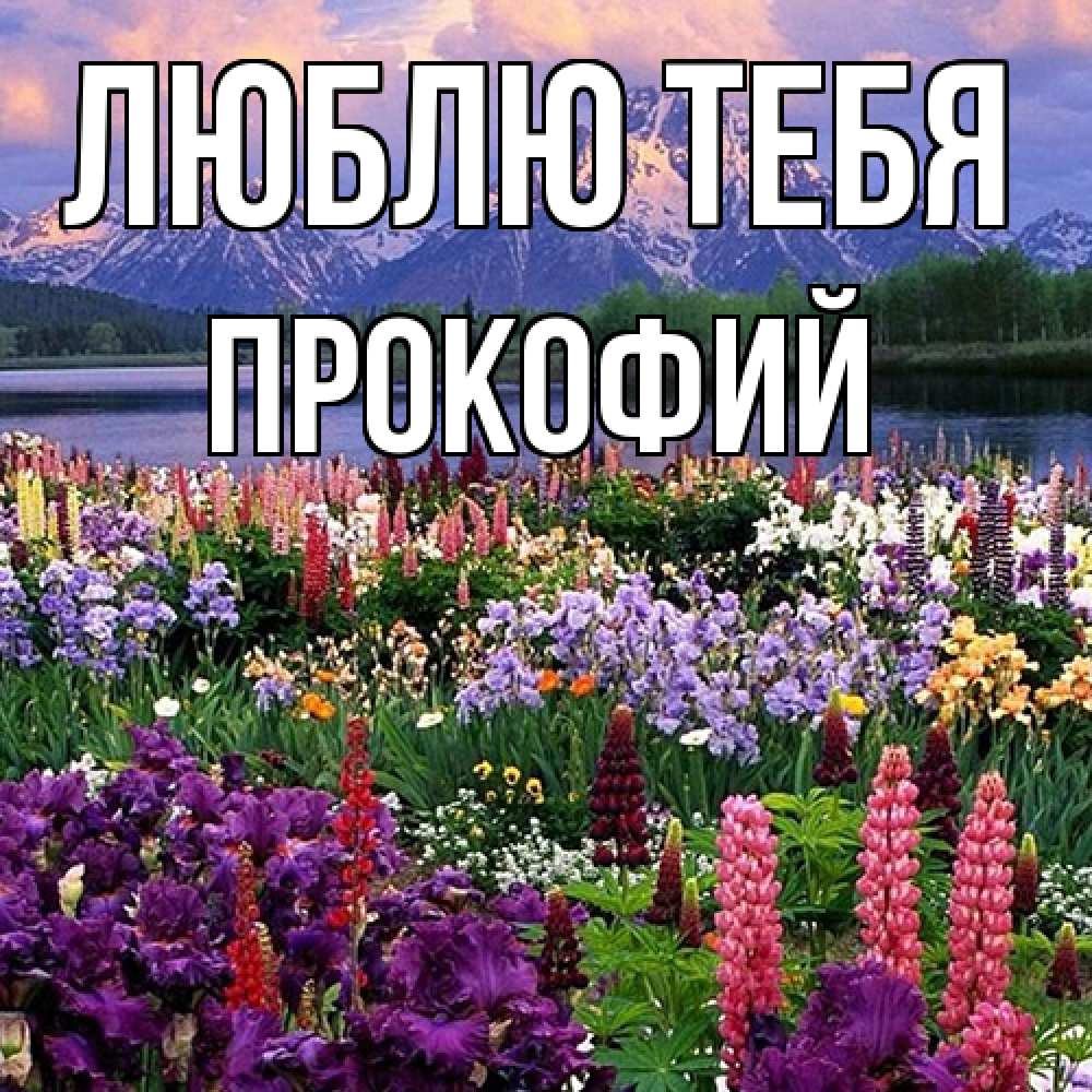 Открытка на каждый день с именем, Прокофий Люблю тебя международный женский день Прикольная открытка с пожеланием онлайн скачать бесплатно 
