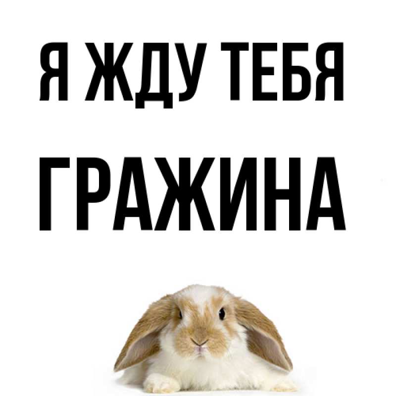 Картинка Я жду тебя, Гражина