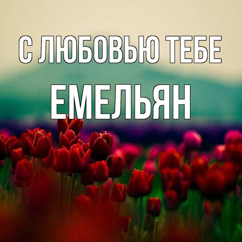 Картинка С любовью тебе, Емельян