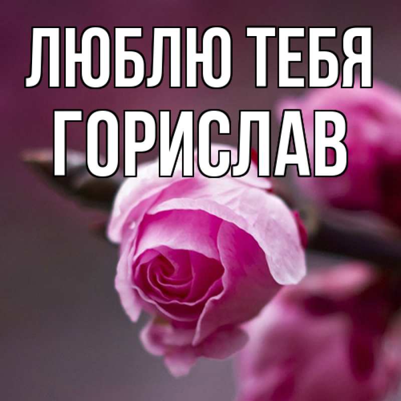Открытка с именем, Горислав, Люблю тебя