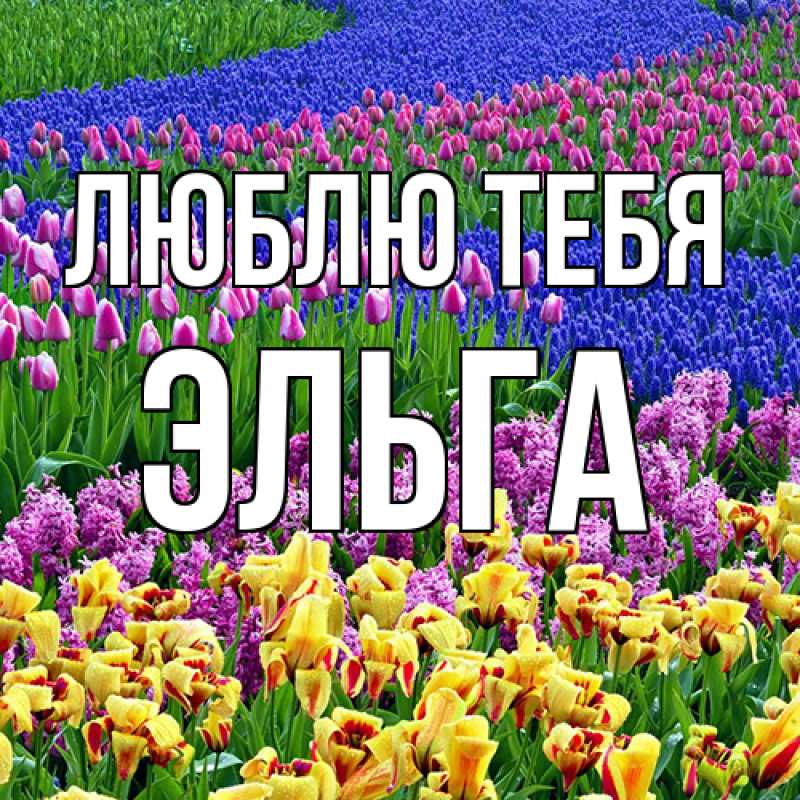 Картинка Люблю тебя, Эльга