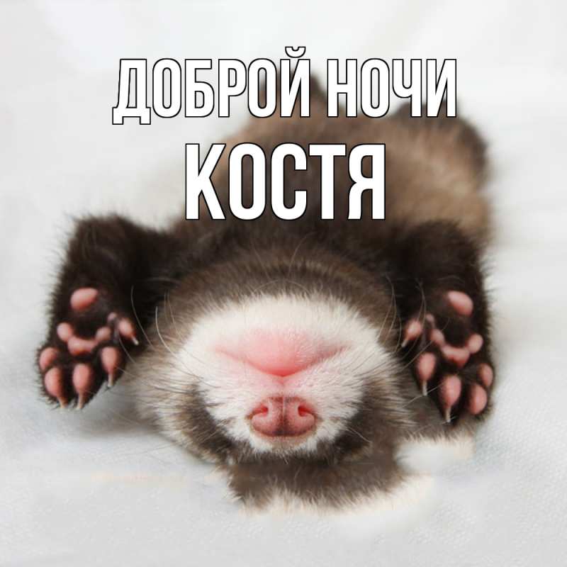 Картинка Доброй ночи, Костя